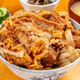 (日本語) 【2023/冬マジ】さわだのカツ丼