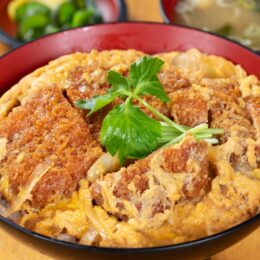 (日本語) 田畑屋の本気かつ丼