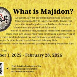 Majidon 2025 English Guide